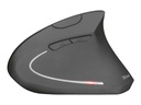 Souris verticale ergonomique sans fil (à piles)
