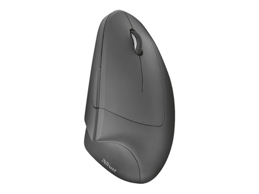 Souris verticale ergonomique sans fil (à piles)